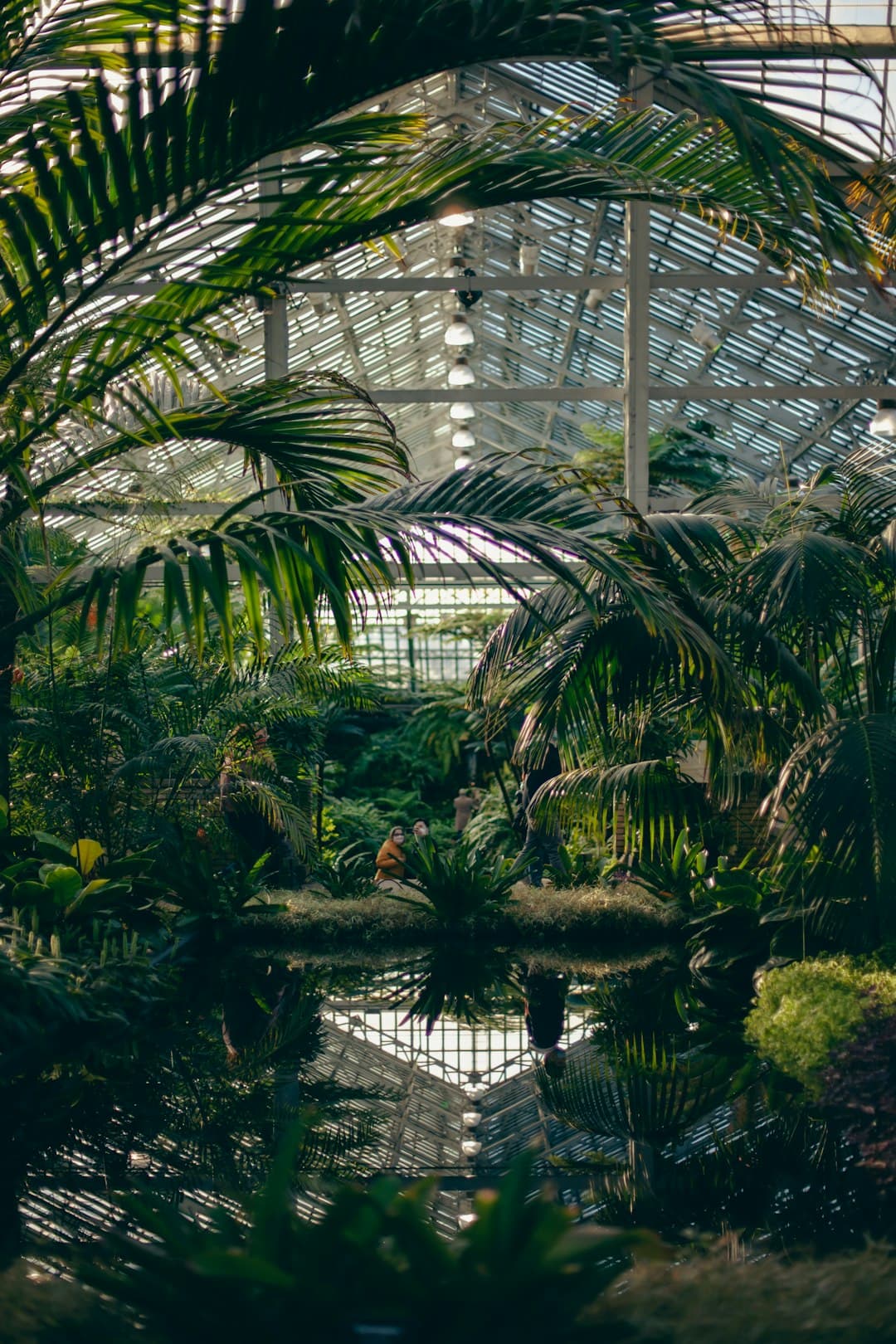 Garfield Park Conservatory