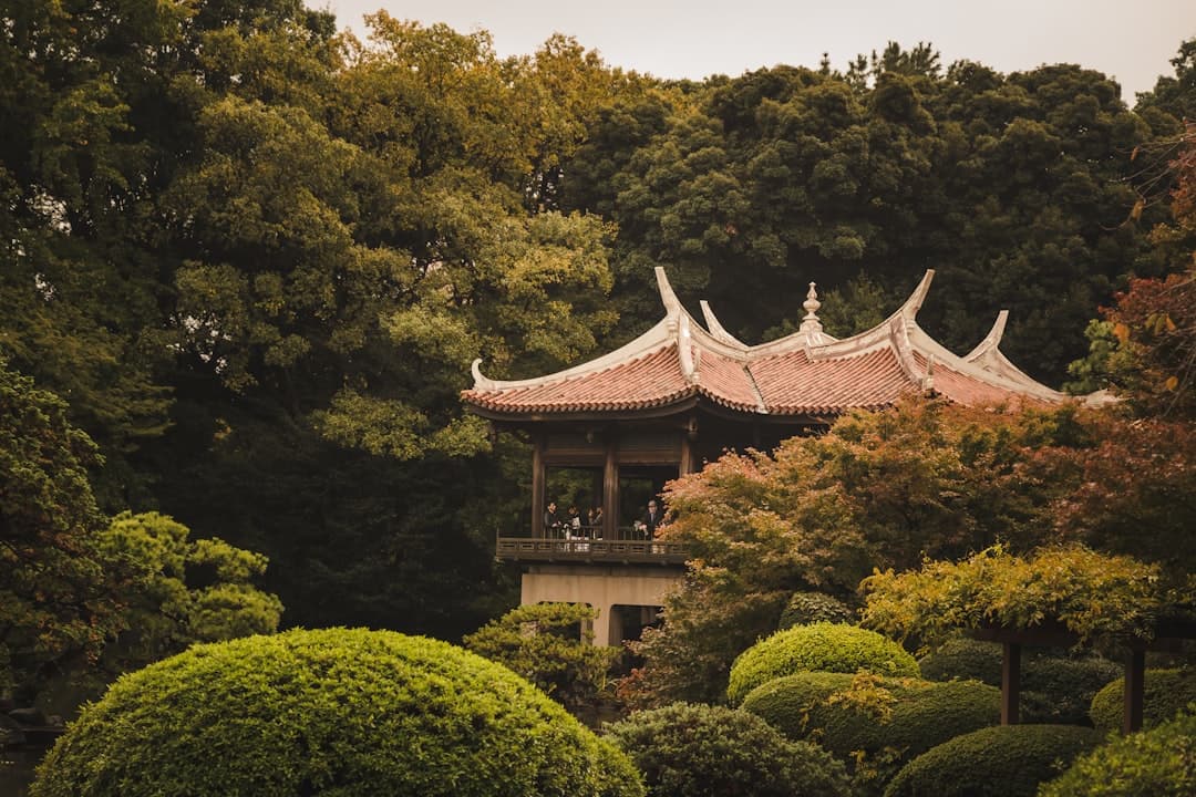 Shinjuku Gyoen National Garden