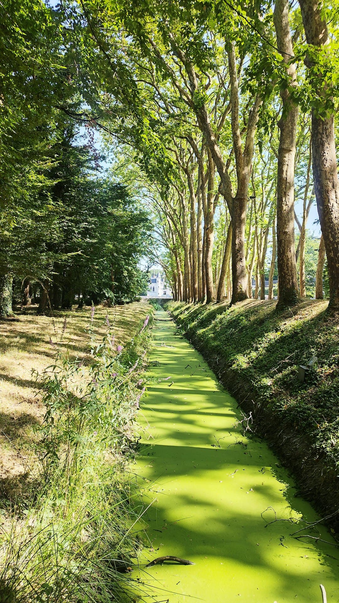 La Coulée Verte