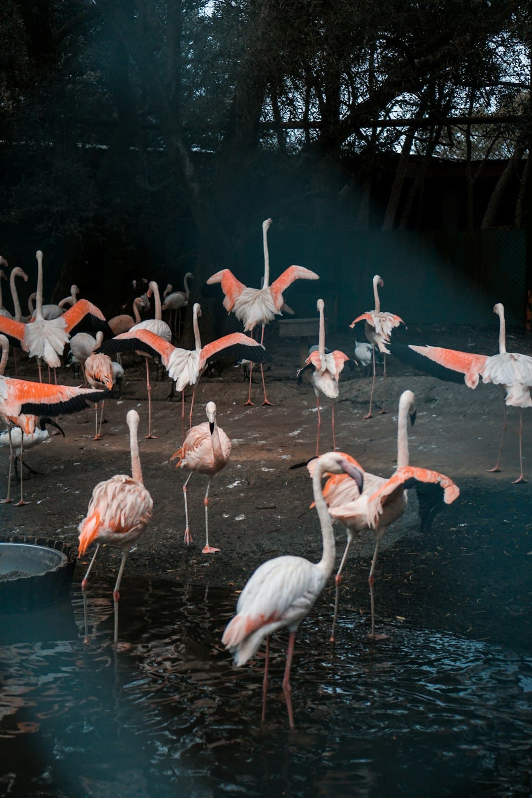 Taipei Zoo